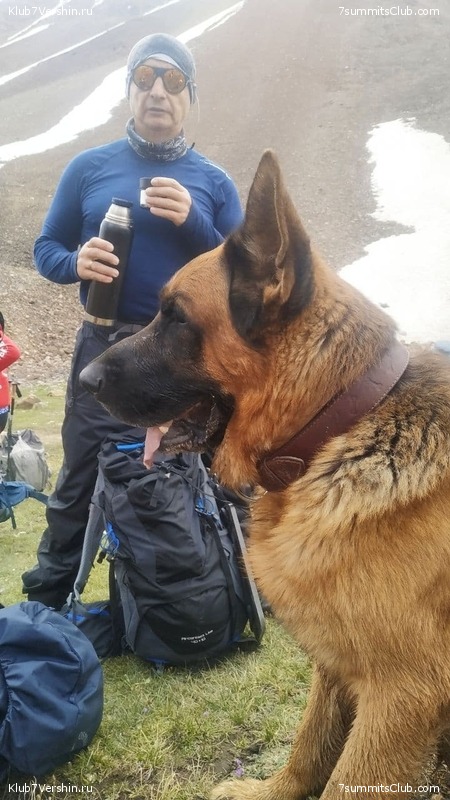 ��� ������ 2021. ������, ���� 174