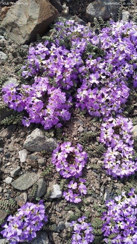 ��� ������ 2021. ������, ���� 175