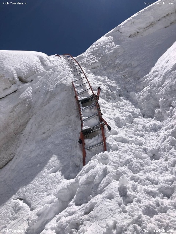 ��� ������ 2021. ���������� �������������� � �����������, ���� 95