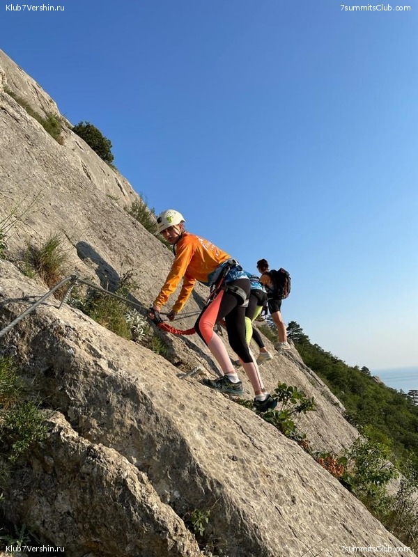 ����. ������ ���������� 2021 ����, ���� 60