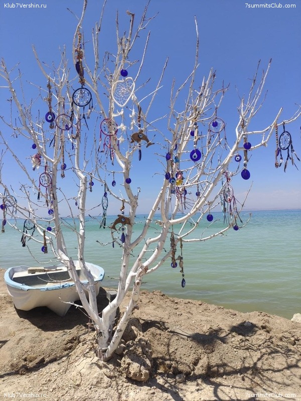 ������ 2021. ���� - ����, ���� 154