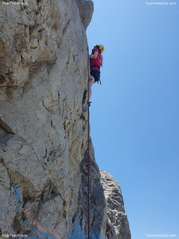 ����. ������ ���������� 2021 ����, ���� 61