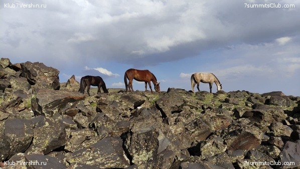 ������ 2021. ���� - ����, ���� 29