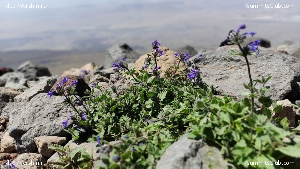 ������ 2021. ���� - ����, ���� 39