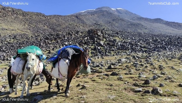 ������ 2021. ���� - ����, ���� 47