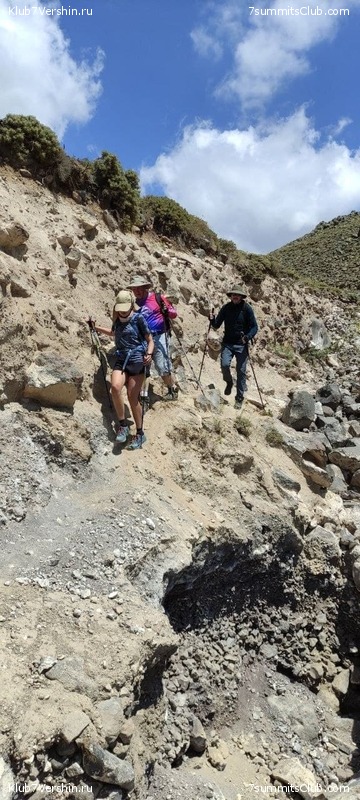 ������ 2021. ���� - ����, ���� 183