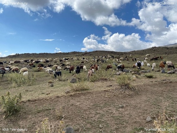 ������ 2021. ������. ������ Ը���� ��������, ���� 85