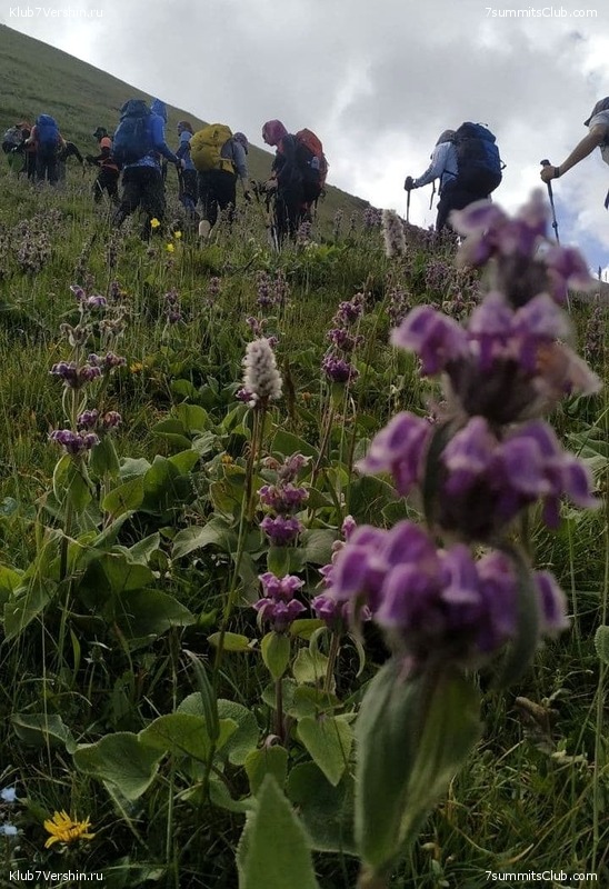 ��� ������. ������ 2021 ����, ���� 111