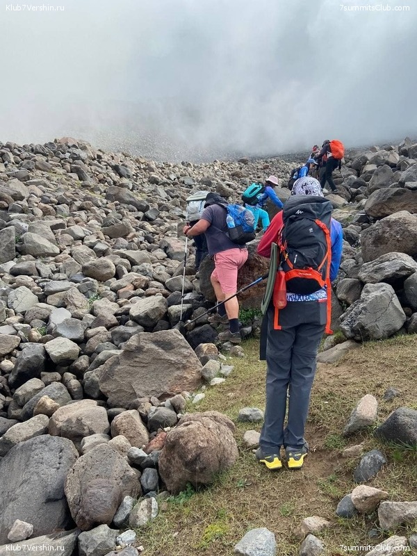 ������ 2021. ������. ������ Ը���� ��������, ���� 133