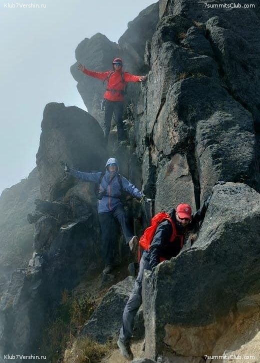 ������� ��������. 2021 ���, ���� 201