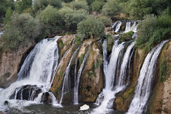 ������  2021. �����: ��������� �������, ���� 44