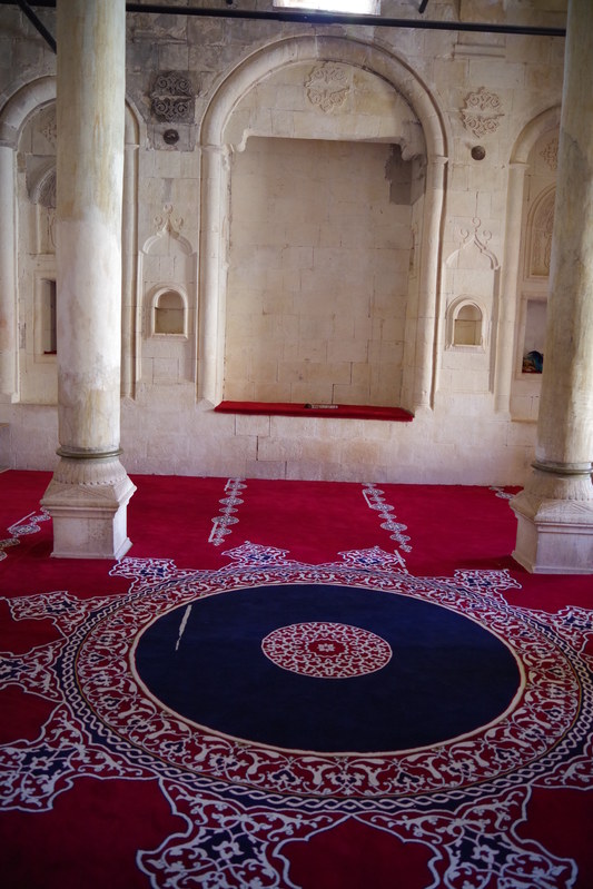 ������  2021. �����: ��������� �������, ���� 144