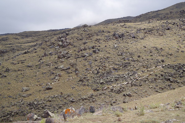 ������  2021. �����: ��������� �������, ���� 62