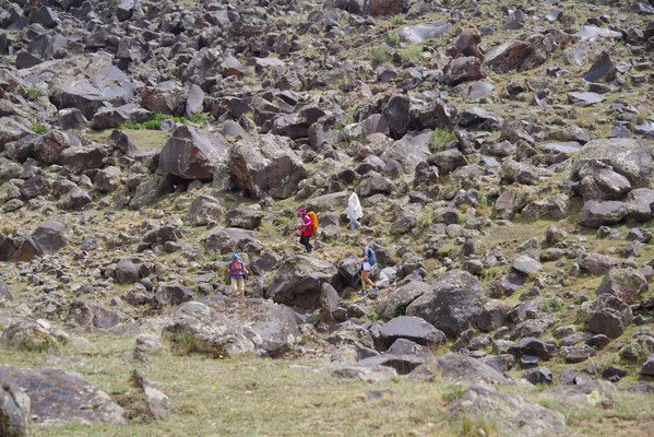 ������  2021. �����: ��������� �������, ���� 63