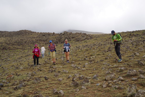 ������  2021. �����: ��������� �������, ���� 64