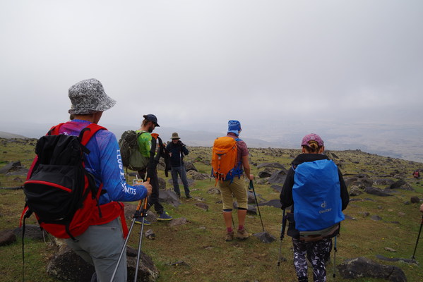 ������  2021. �����: ��������� �������, ���� 68