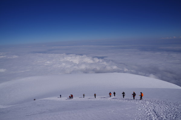 ������  2021. �����: ��������� �������, ���� 74