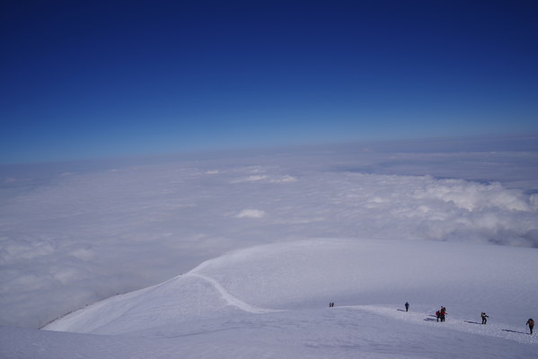 ������  2021. �����: ��������� �������, ���� 77