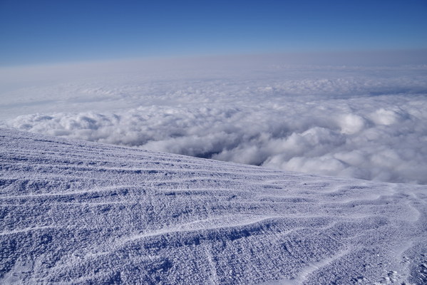 ������  2021. �����: ��������� �������, ���� 79