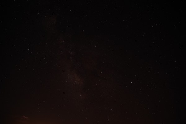 ������  2021. �����: ��������� �������, ���� 100