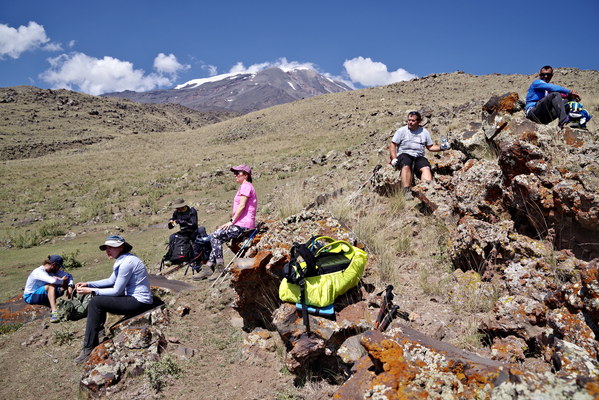 ������  2021. �����: ��������� �������, ���� 114