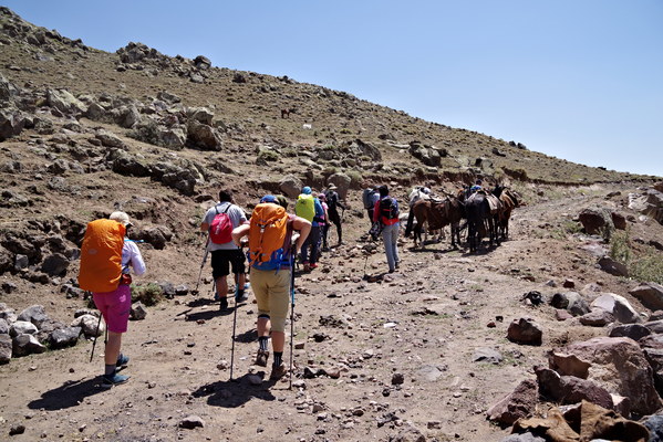 ������  2021. �����: ��������� �������, ���� 116