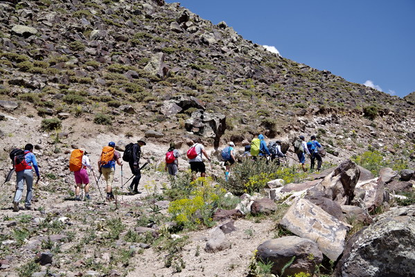 ������  2021. �����: ��������� �������, ���� 118