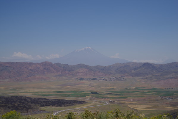 ������  2021. �����: ��������� �������, ���� 121