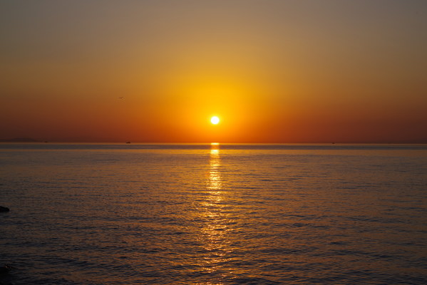 ������  2021. �����: ��������� �������, ���� 124