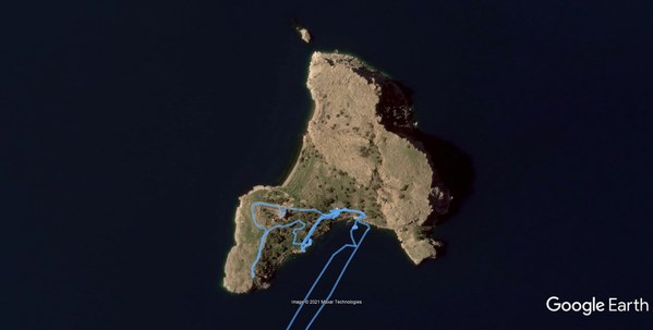 ������  2021. �����: ��������� �������, ���� 2