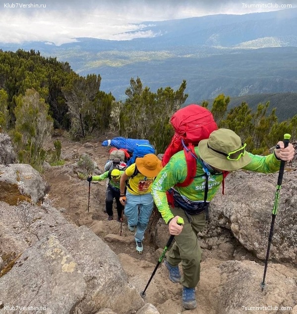 ������������.  ������ 2021 ����, ���� 15