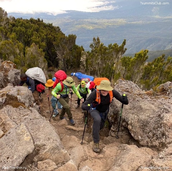 ������������.  ������ 2021 ����, ���� 13