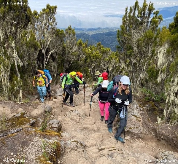 ������������.  ������ 2021 ����, ���� 10