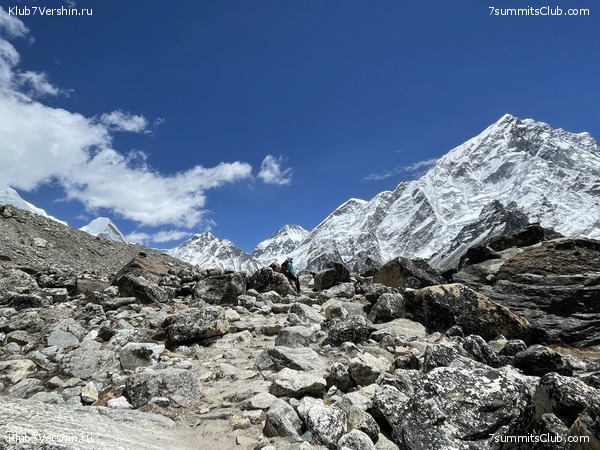 ���������� ���������. ������� ��������� 2021 ����, ���� 31