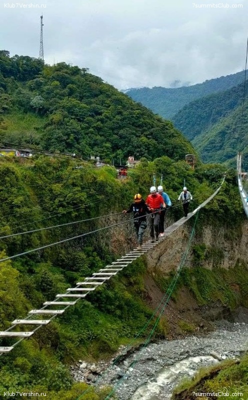 ������� ��������. 2021 ���, ���� 220