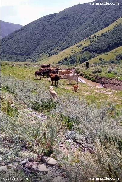 ������. ���� - ������ 2021 ����, ���� 95