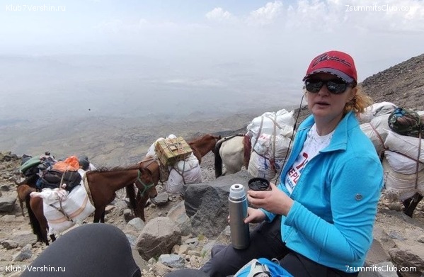 ������ 2021. ������. ������ Ը���� ��������, ���� 55