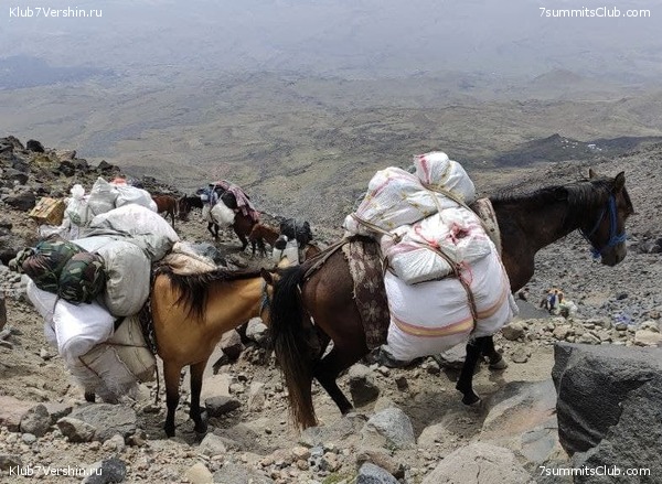 ������ 2021. ������. ������ Ը���� ��������, ���� 70