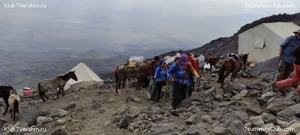 ������ 2021. ������. ������ Ը���� ��������, ���� 6