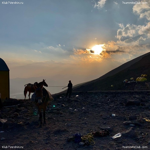 �������� 2021, ���� 42