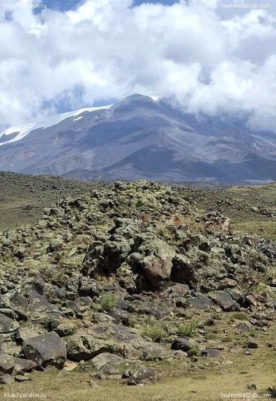 ������ 2021. ������. ������ Ը���� ��������, ���� 154