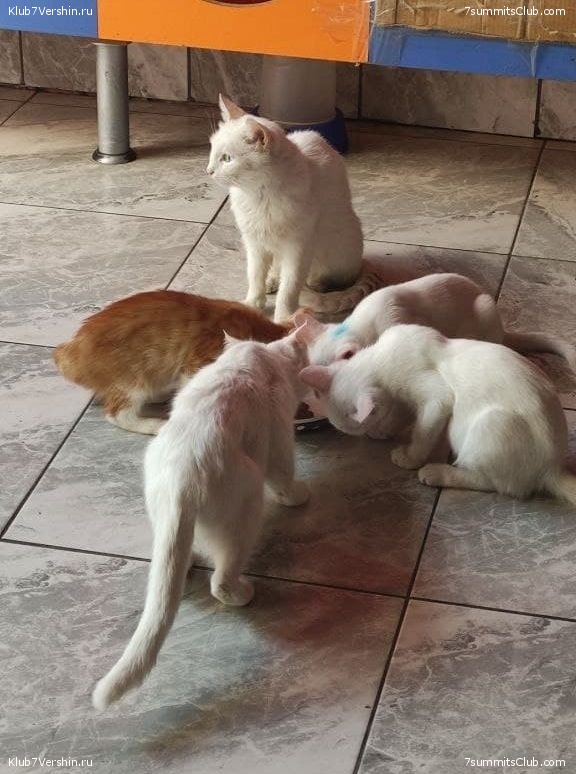 ������ 2021. ������. ������ Ը���� ��������, ���� 149