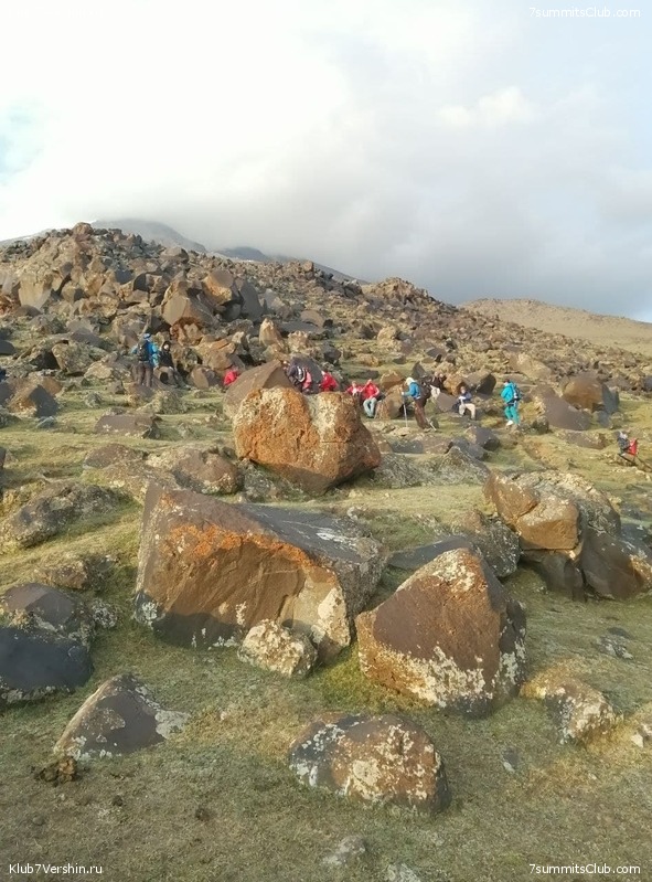 ������  2021. ������ �������� ������� - ��������, ���� 128