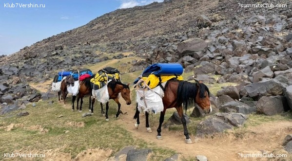 ������  2021. ������ �������� ������� - ��������, ���� 10