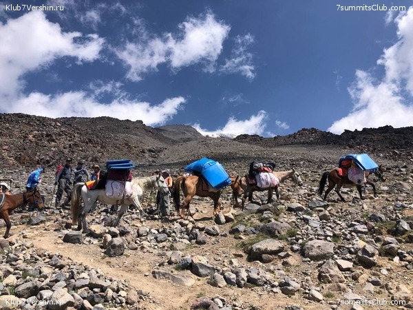 ������  2021. ������ �������� ������� - ��������, ���� 75