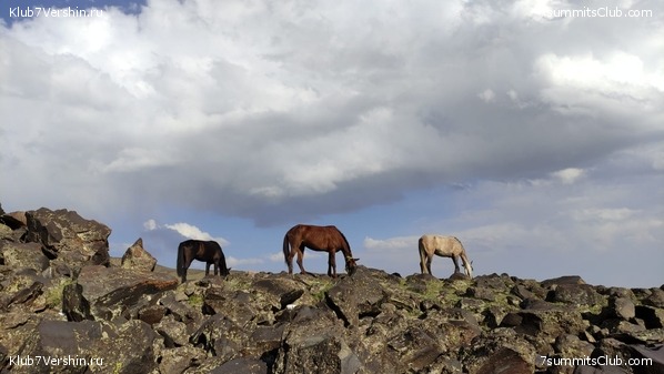 ������ 2021. �������, ���� 8