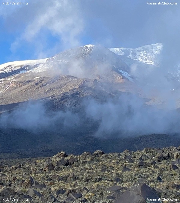 ������ 2021. �������, ���� 39