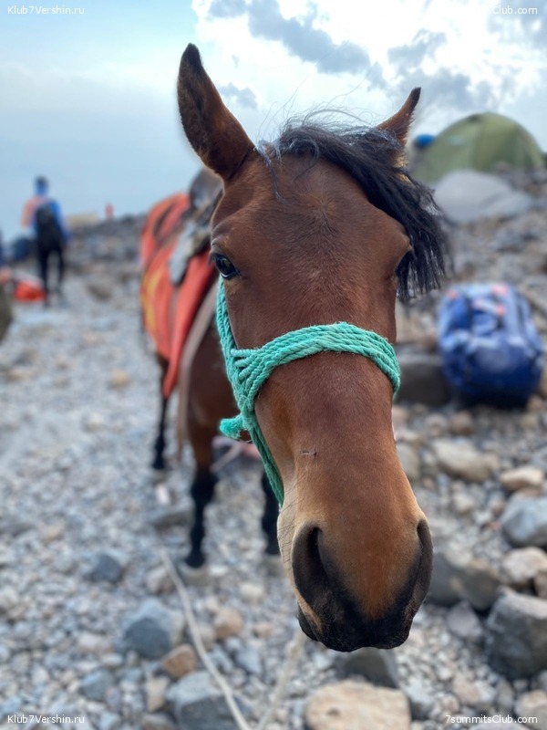 ������ 2021. �������, ���� 43