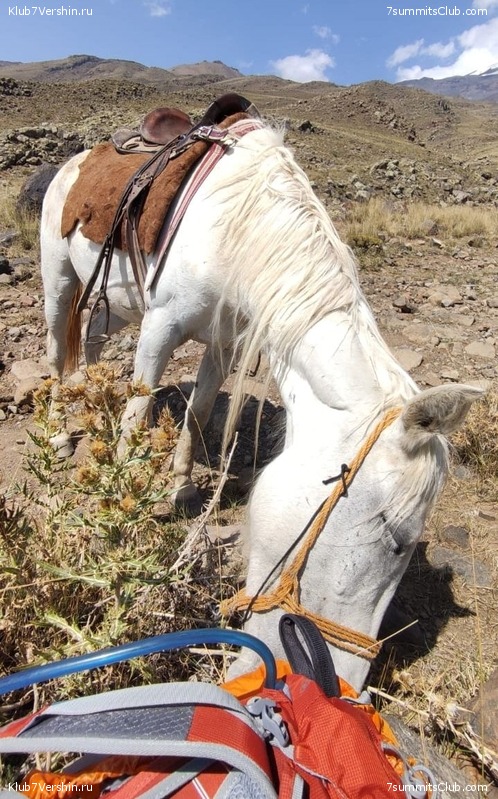 ������ 2021. �������, ���� 50