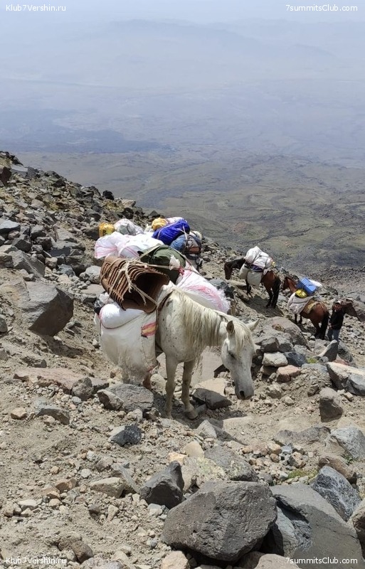 ������ 2021. �������, ���� 49